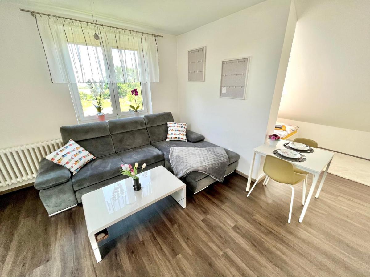 Apartment Zabovresky *